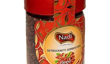 Nadi Getrocknete Berberitzen 100g